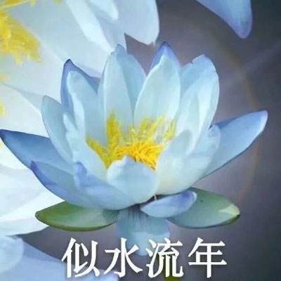 01版要闻 - 和平共处五项原则发表70周年纪念大会在北京隆重举行