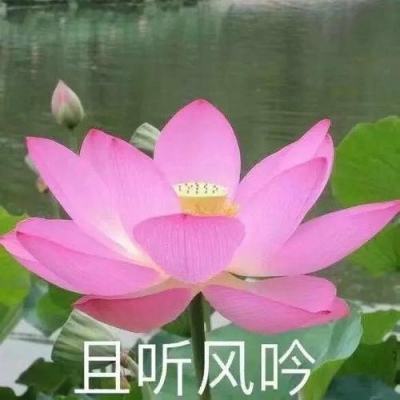 甄良任南京航空航天大学党委书记